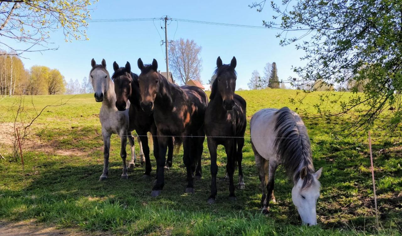 Eha Farmstay Rõuge Exteriér fotografie